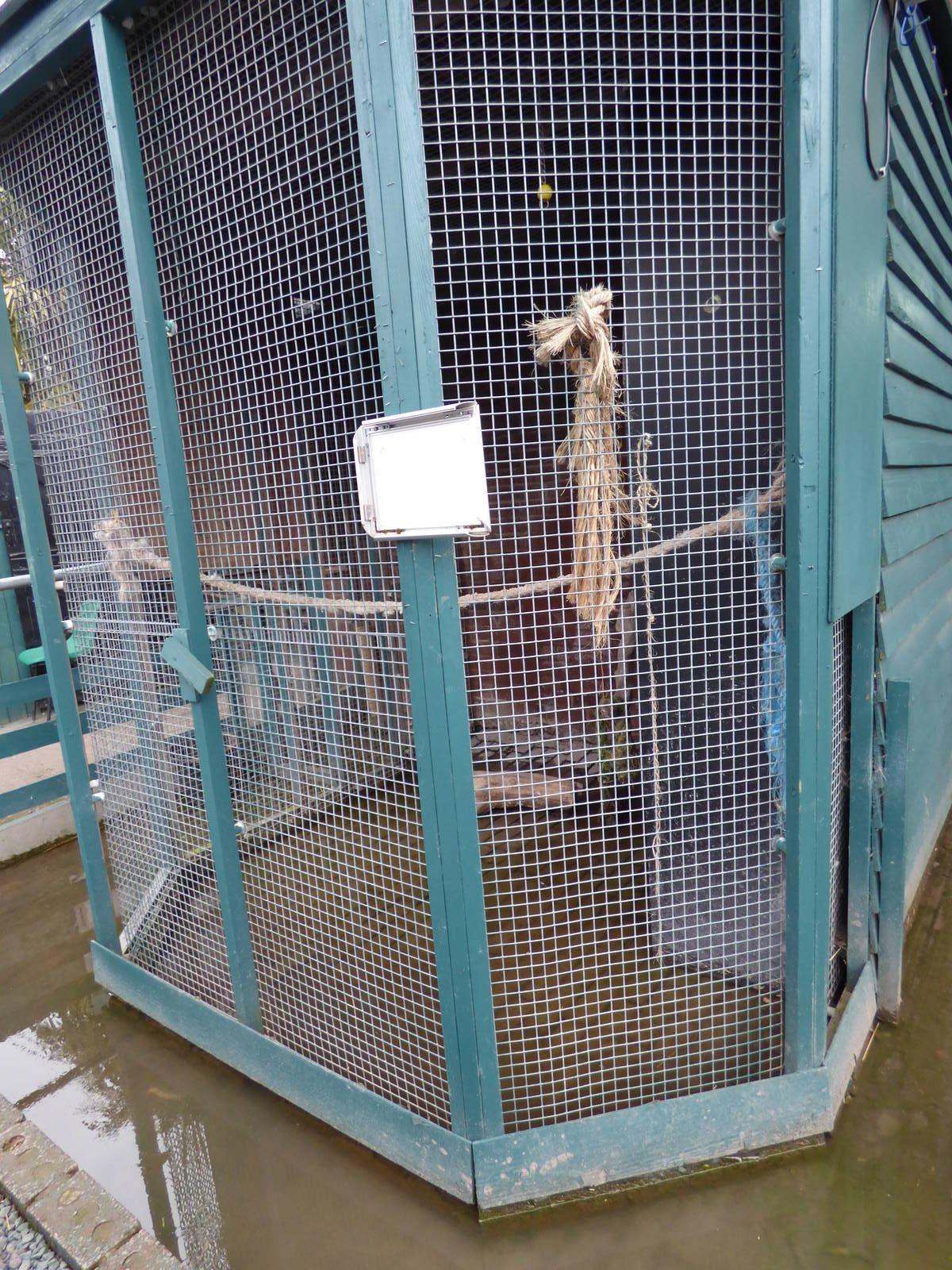 Flooded Parrot Aviary