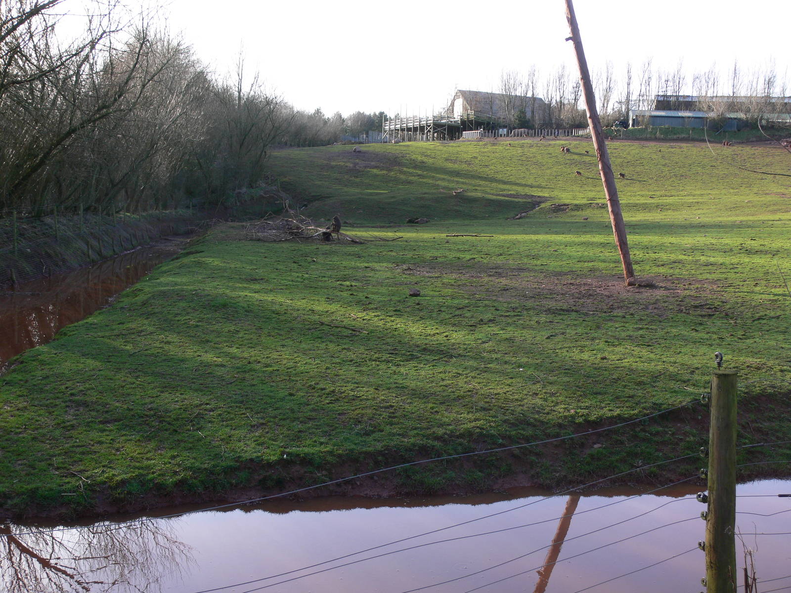 Flooding at South Lakes, 16/02/14