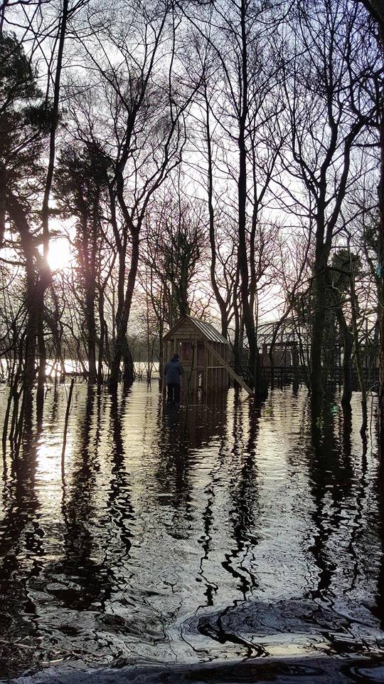 Floods and resulting damage, 11/12/15