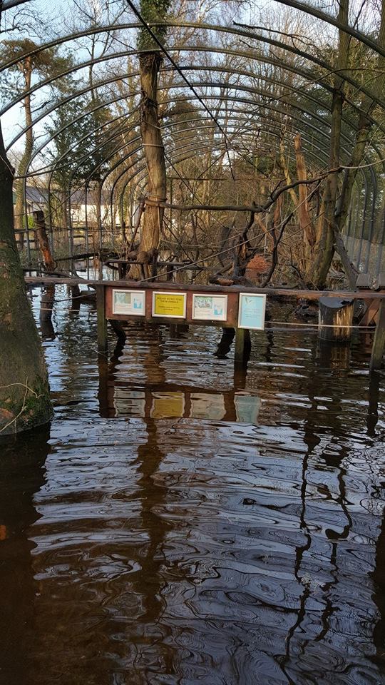 Floods and resulting damage, 11/12/15