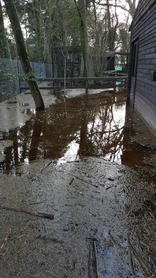 Floods and resulting damage, 11/12/15