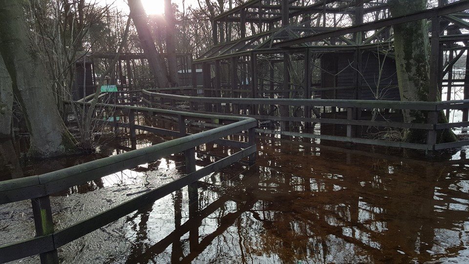 Floods and resulting damage, 11/12/15