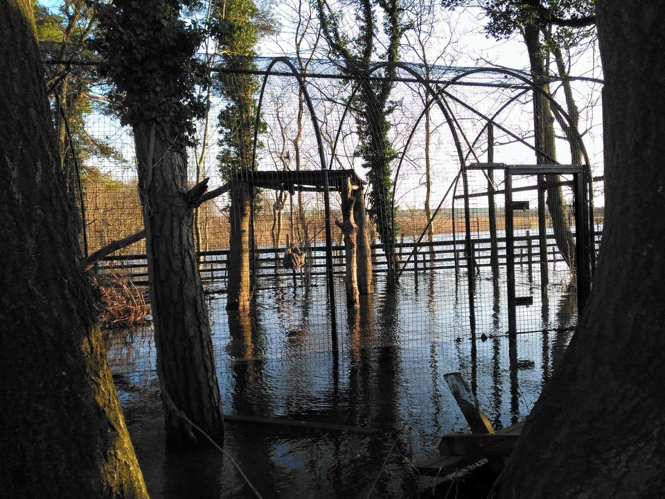 Floods and resulting damage, 11/12/15