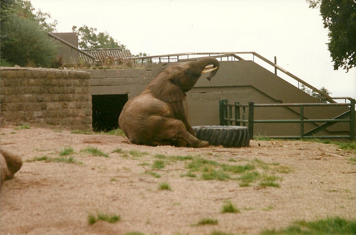 Flora 19th September 1998