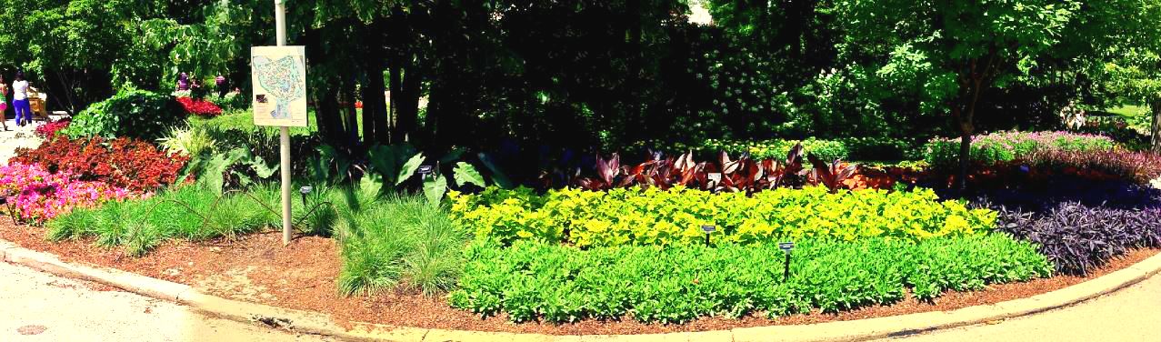 Floral Garden Display