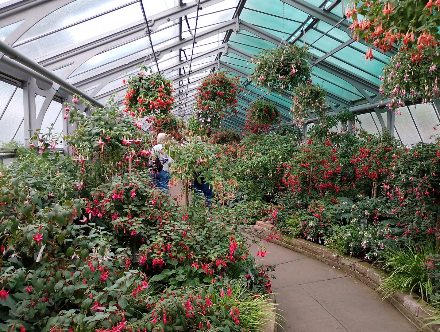 Floral greenhouse