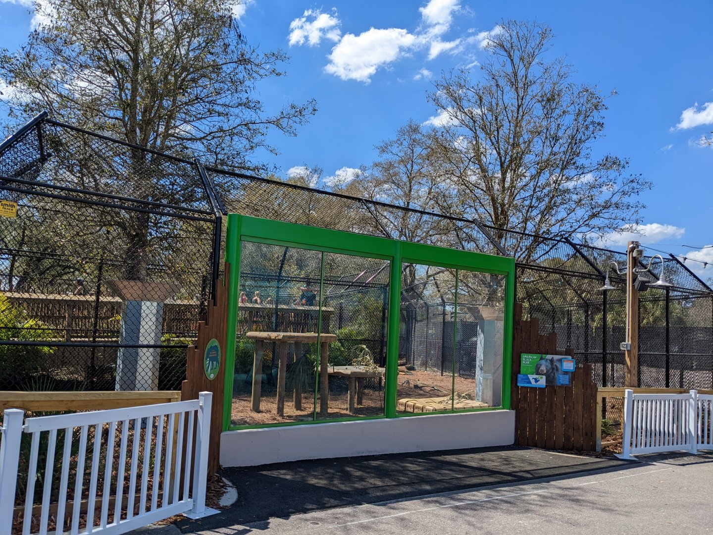 Florida Black Bear from water ride viewing