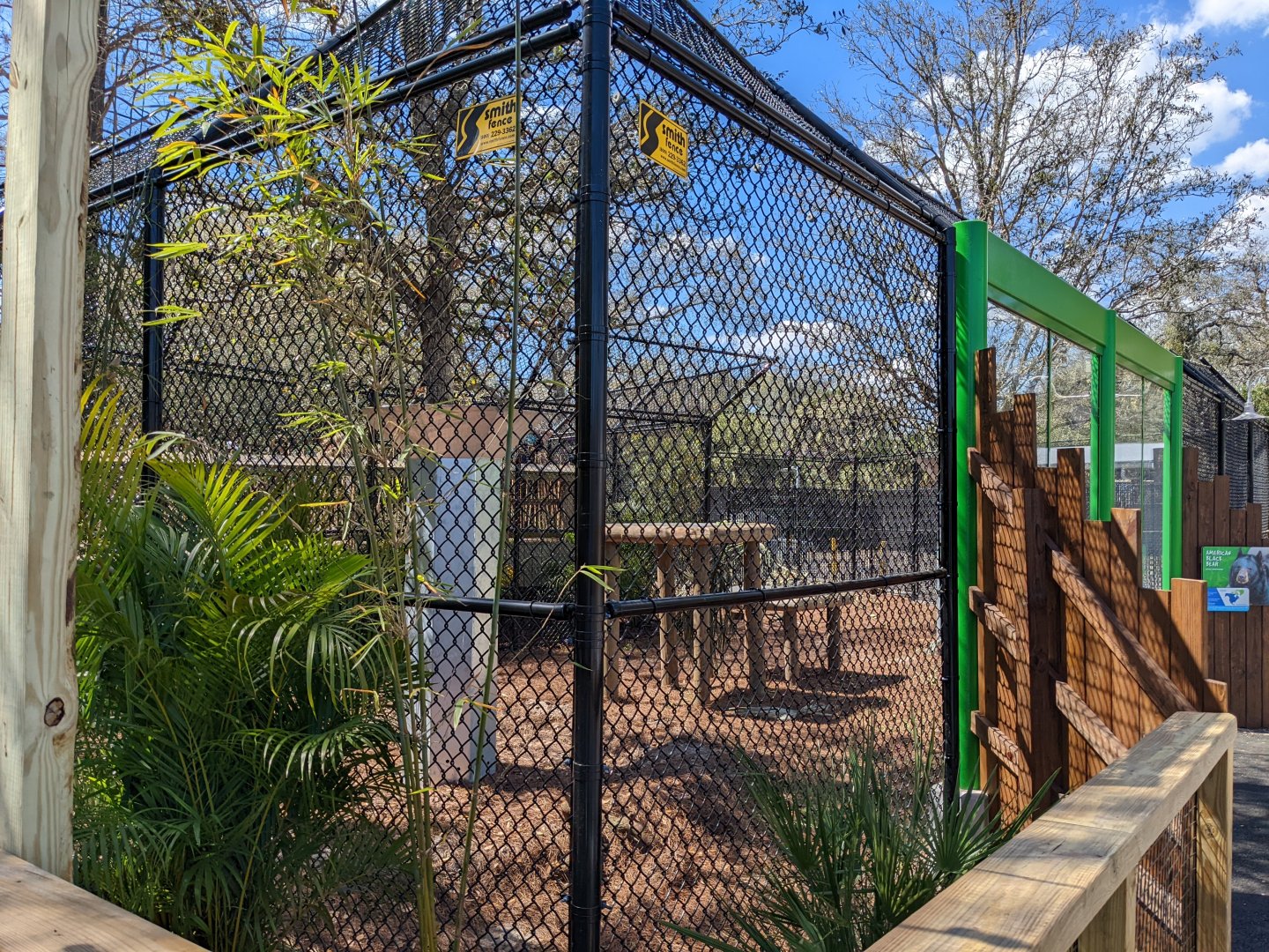 Florida Black Bear from water ride viewing