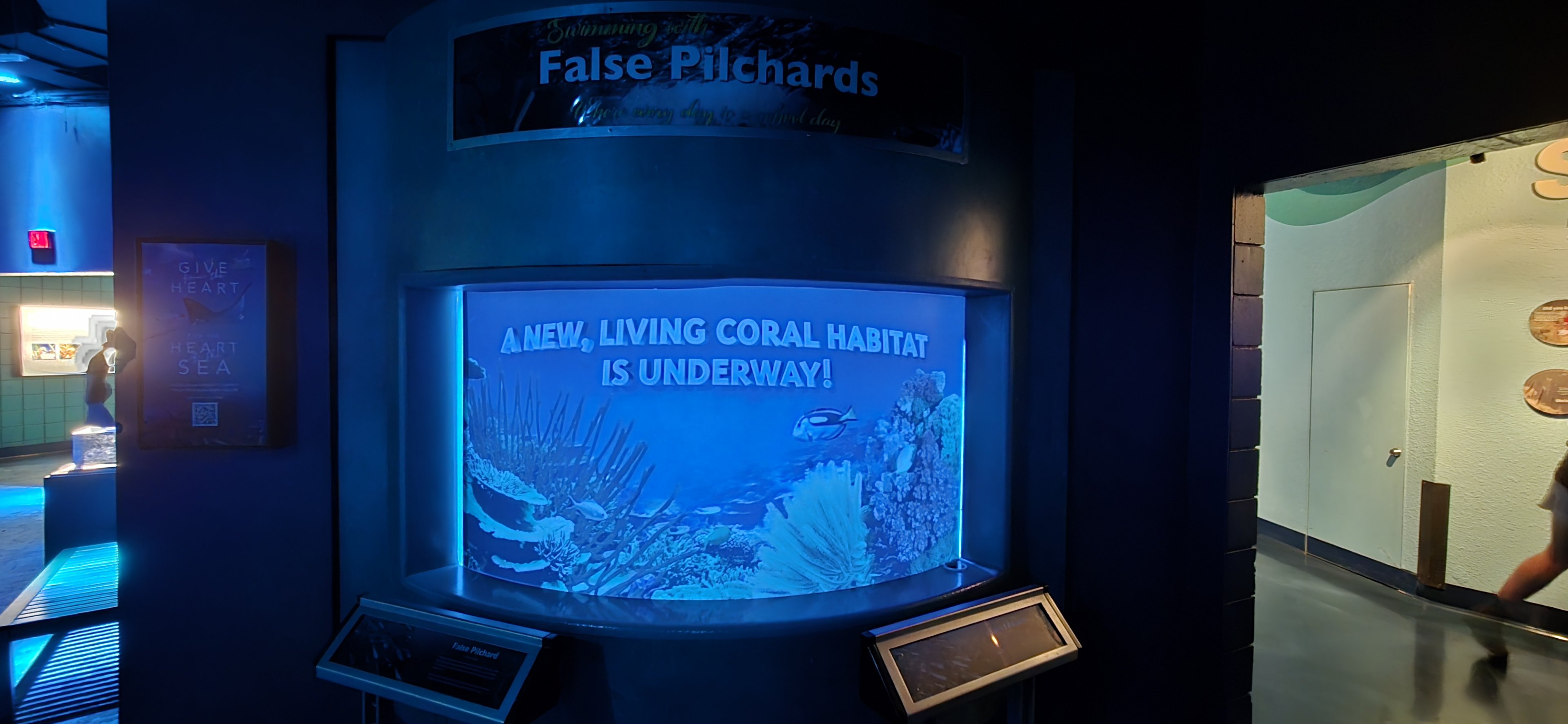 Florida Coral Reefs - Coral habitat construction