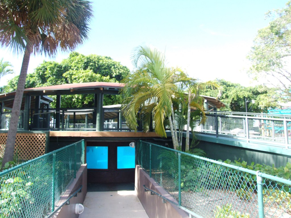 Florida Manatee Enclosure at Miami Seaquarium, 16/10/13