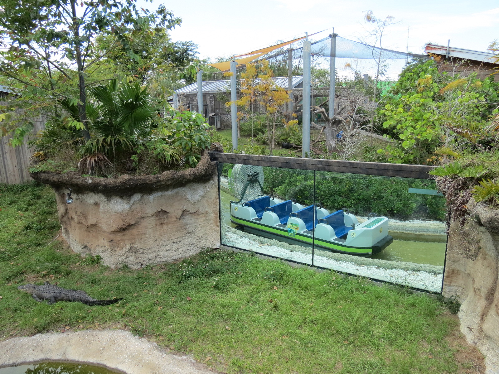 Florida: Mission Everglades - American Alligator Exhibit - Lostman's River Ride Viewing Beyond