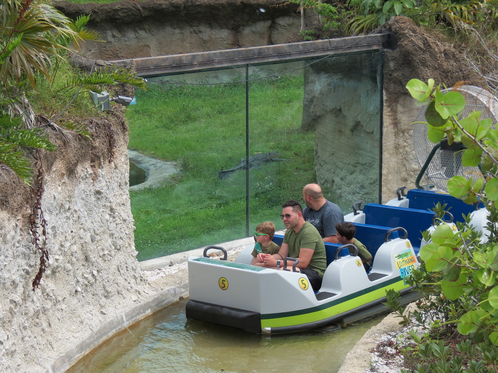 Florida: Mission Everglades - American Alligator Exhibit - Lostman's River Ride Viewing