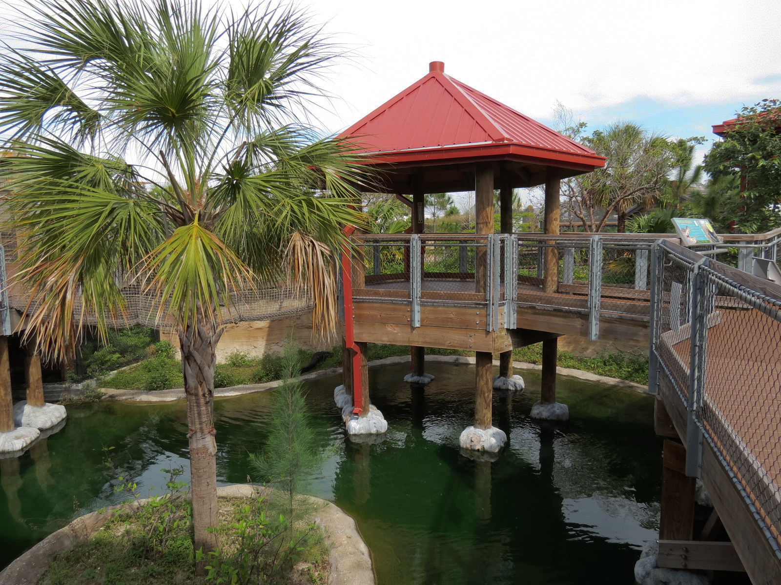 Florida: Mission Everglades - American Alligator Exhibit