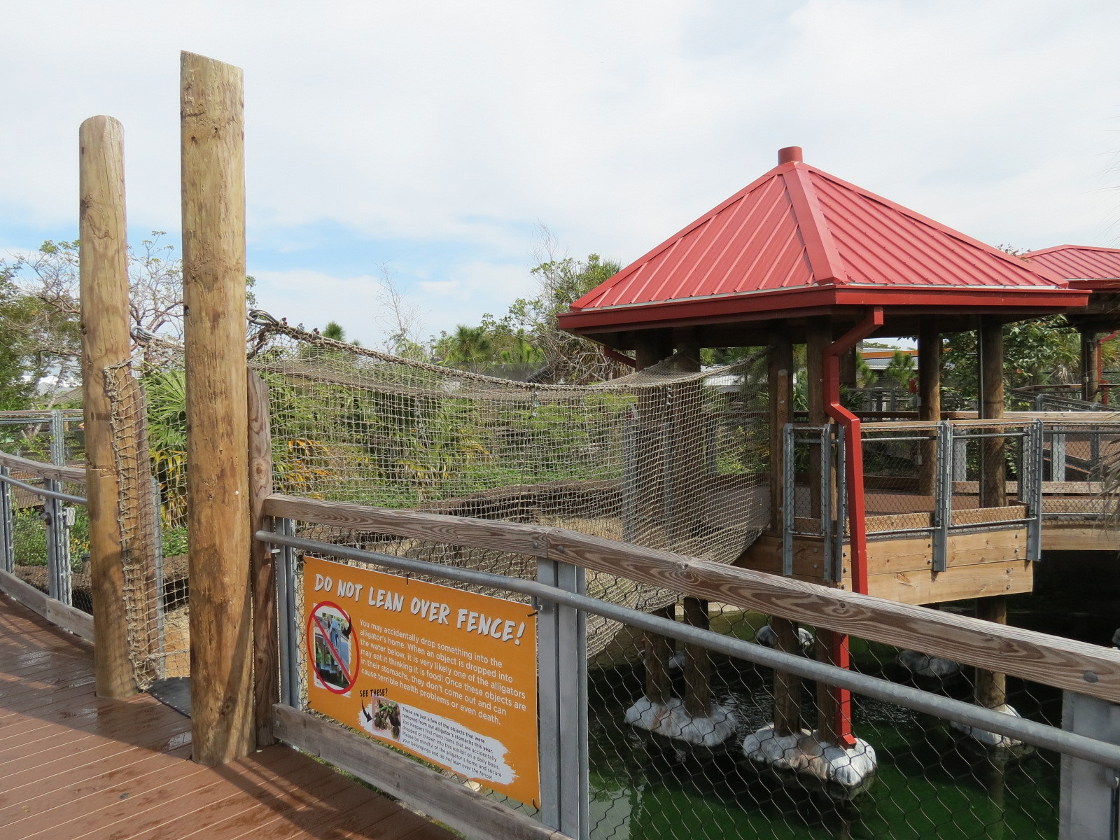 Florida: Mission Everglades - American Alligator Exhibit