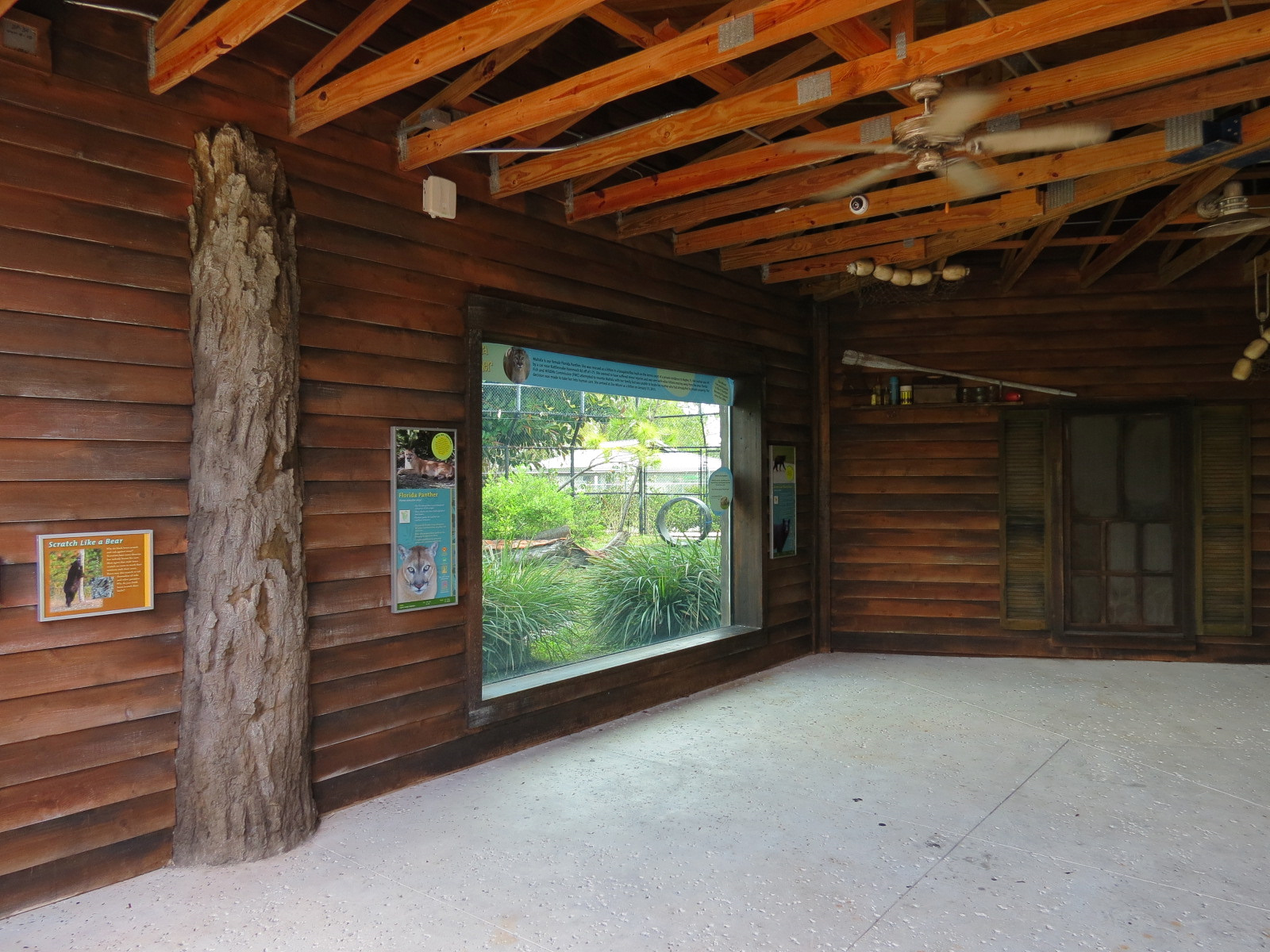 Florida: Mission Everglades - American Black Bear OR Florida Panther Rotational Exhibit 1 - Viewing Shelter