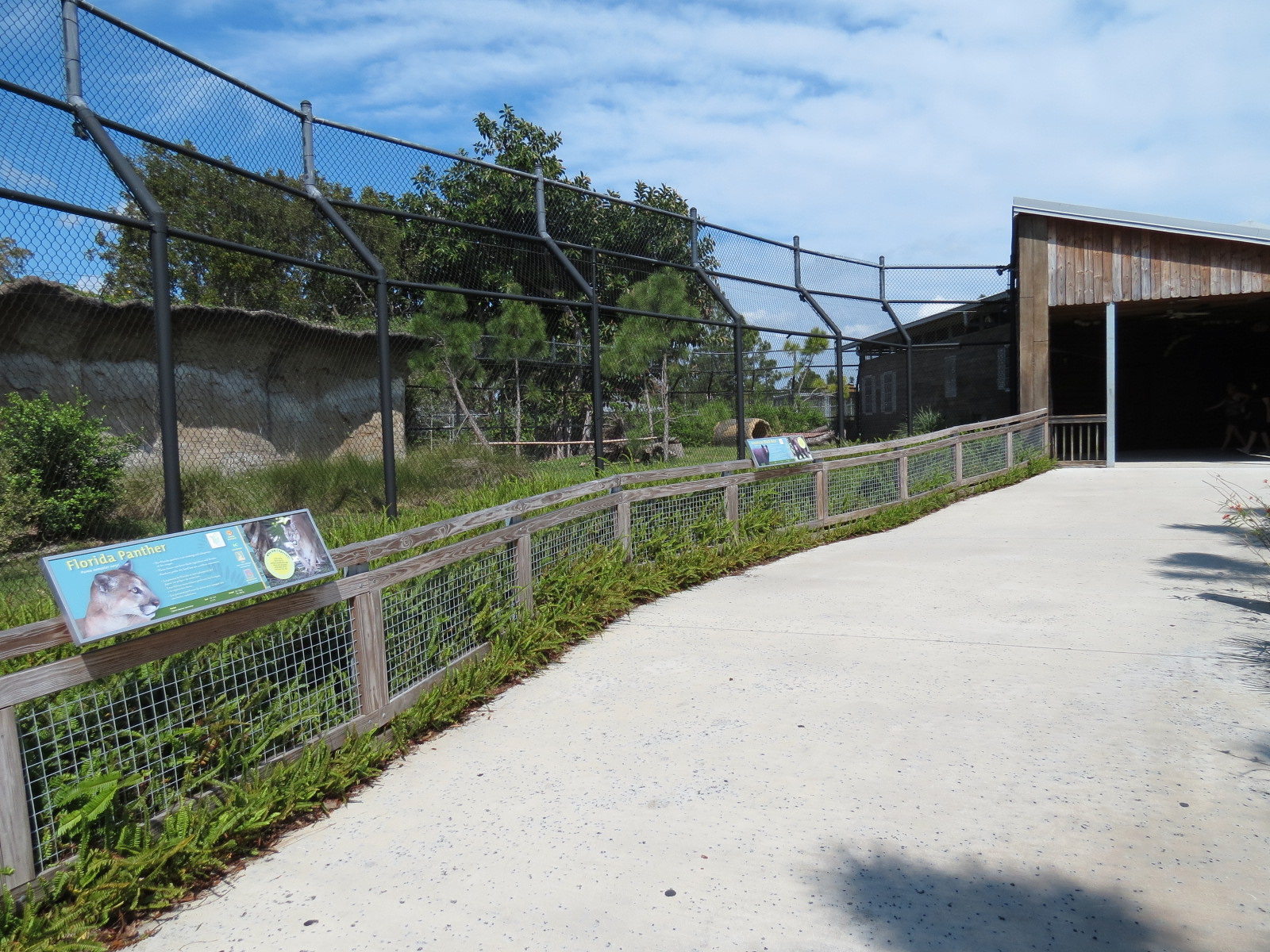 Florida: Mission Everglades - American Black Bear OR Florida Panther Rotational Exhibit 1