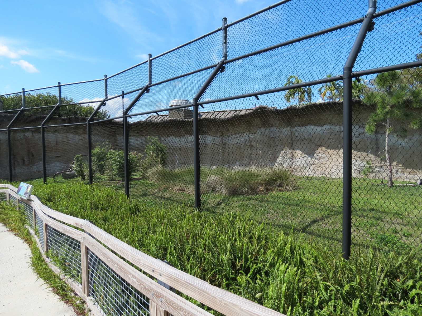Florida: Mission Everglades - American Black Bear OR Florida Panther Rotational Exhibit 1