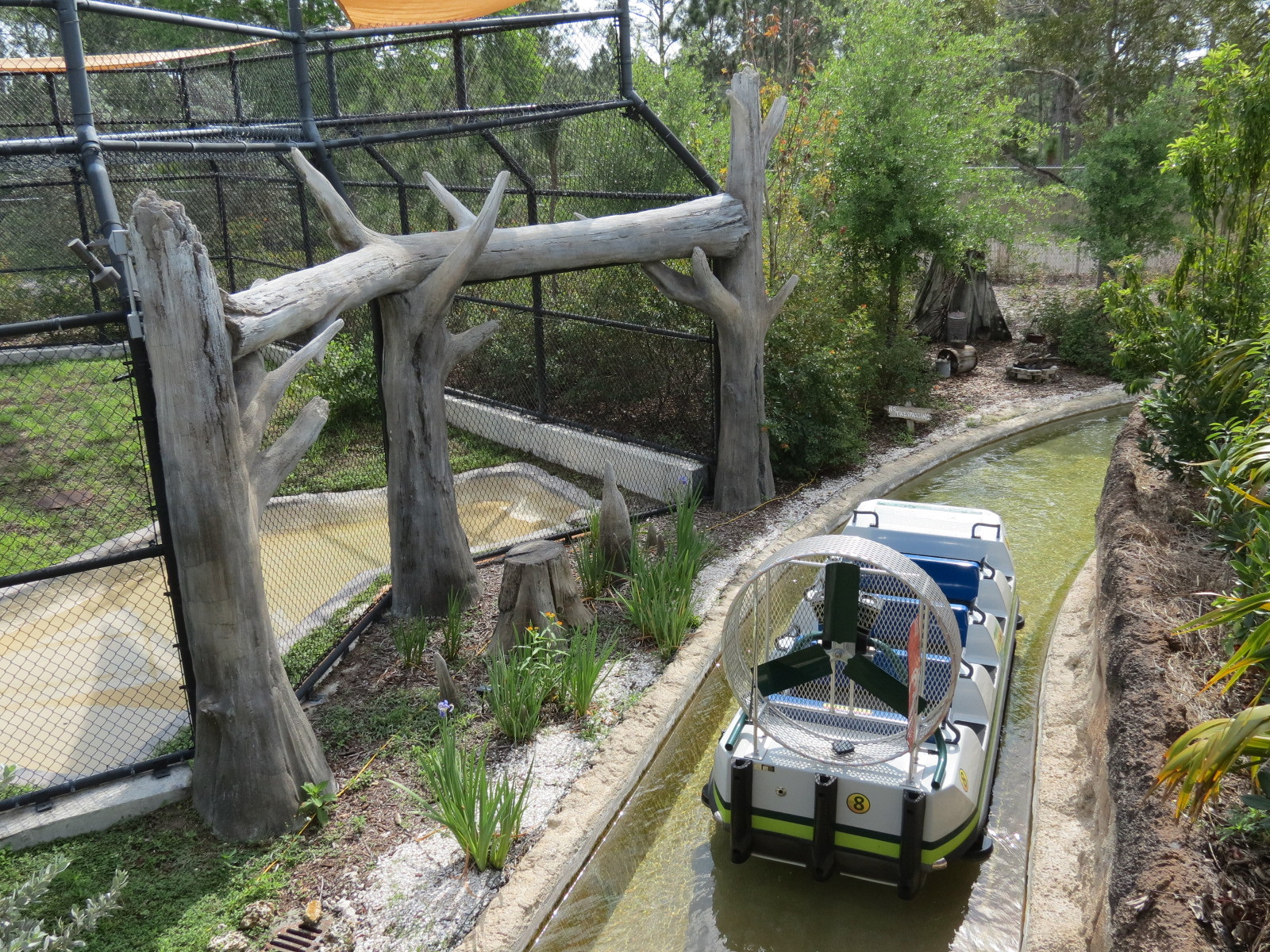Florida: Mission Everglades - American Black Bear OR Florida Panther Rotational Exhibit 2 - Lostman's River Ride Viewing