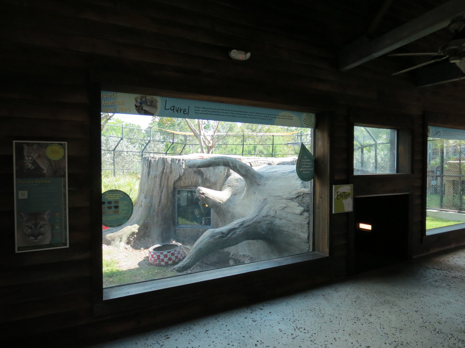 Florida: Mission Everglades - American Black Bear OR Florida Panther Rotational Exhibit 2