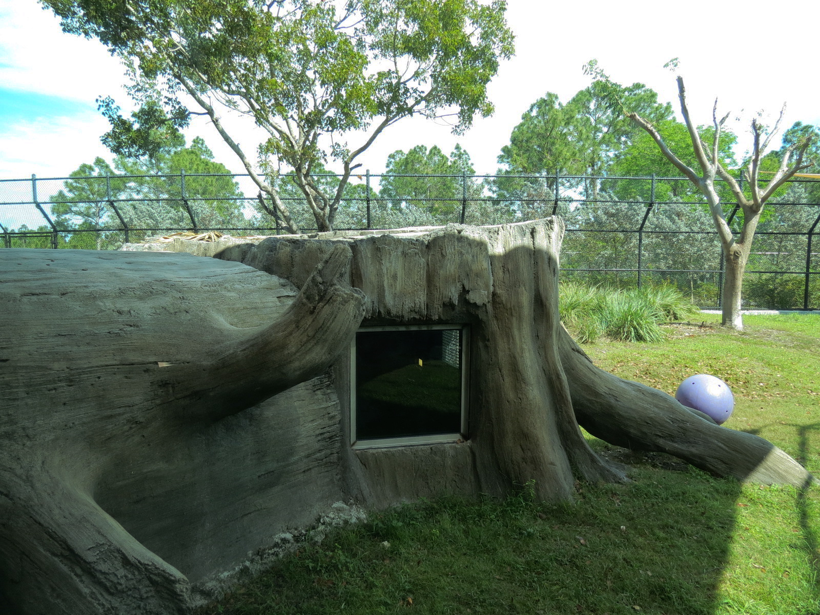 Florida: Mission Everglades - American Black Bear OR Florida Panther Rotational Exhibit 2