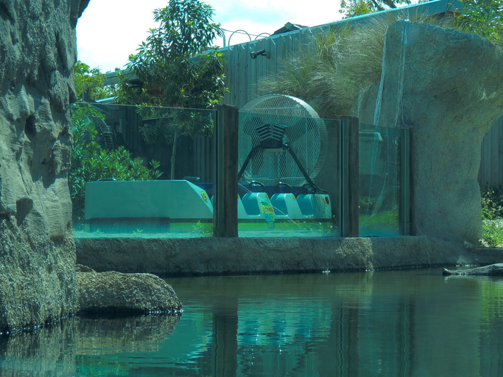 Florida: Mission Everglades - American Crocodile Exhibit - Lostman's River Ride Viewing Area Beyond