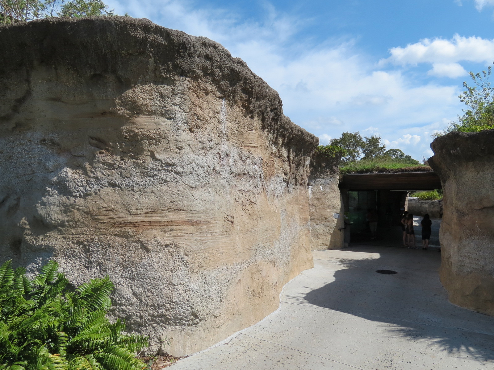 Florida: Mission Everglades - American Crocodile Exhibit - Underwater Viewing Entrance
