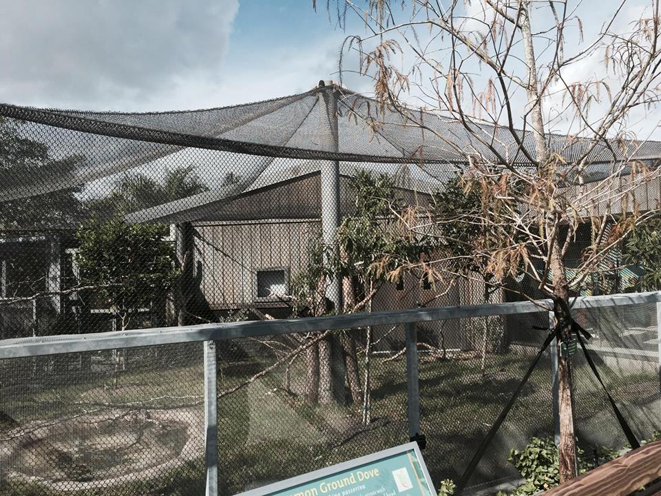 Florida: Mission Everglades- Aviary