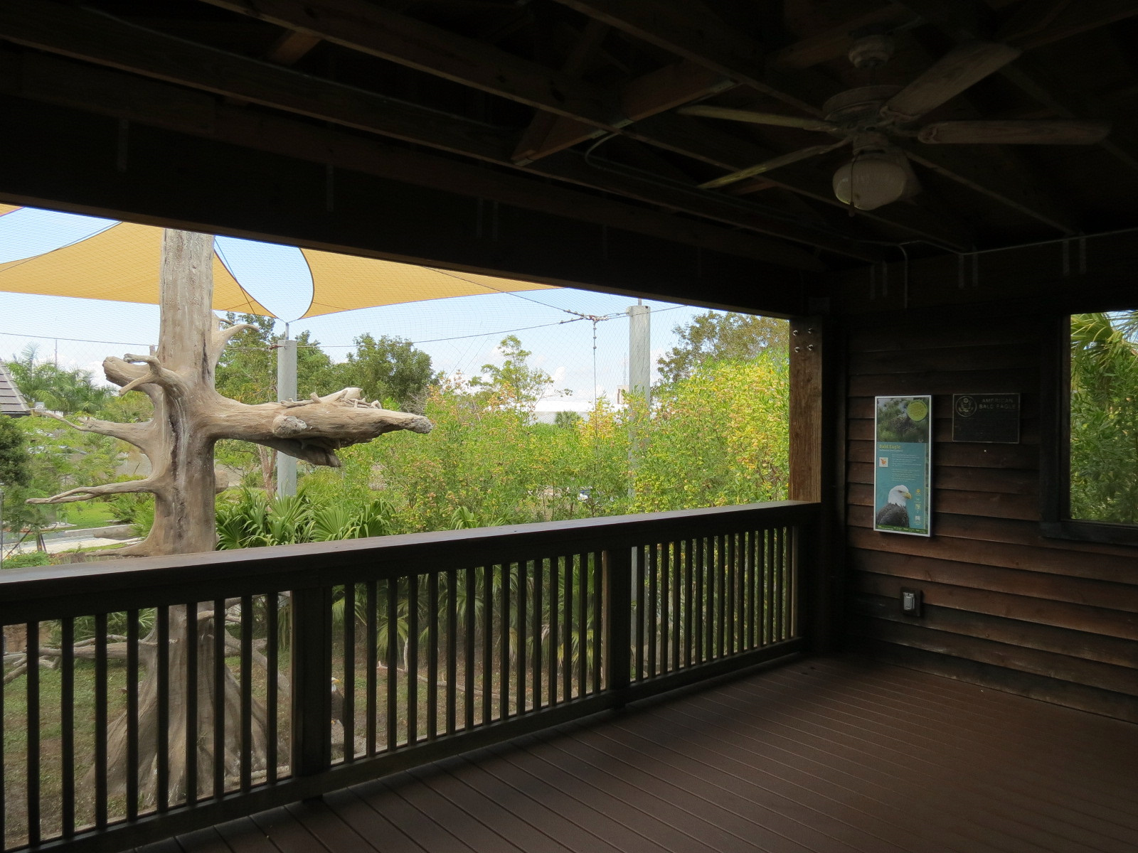 Florida: Mission Everglades - Bald Eagle Exhibit - Viewing Shelter