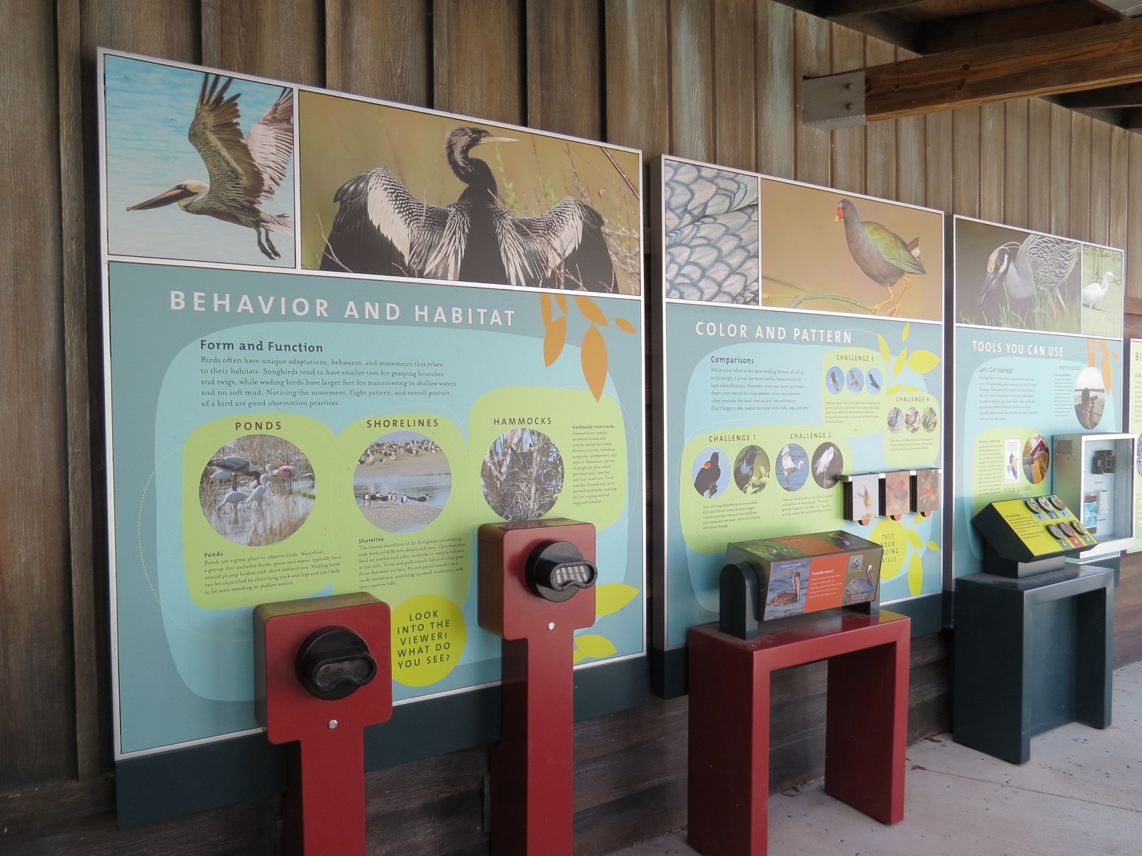 Florida: Mission Everglades - Birding Displays
