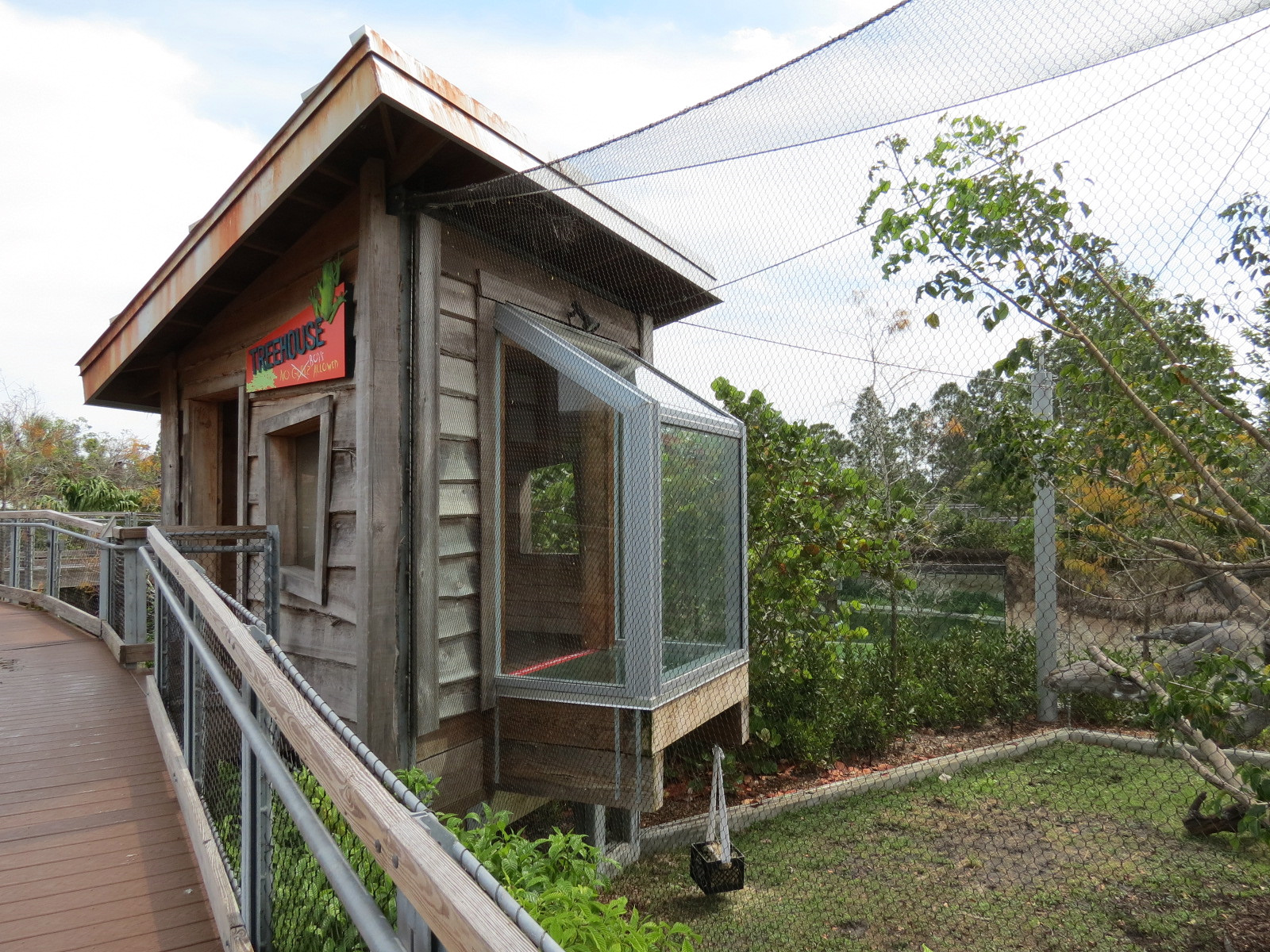 Florida: Mission Everglades - Bobcat OR Gray Fox OR Raccoon Rotational Exhibit 1 - Treehouse Visitor Viewing Shelter