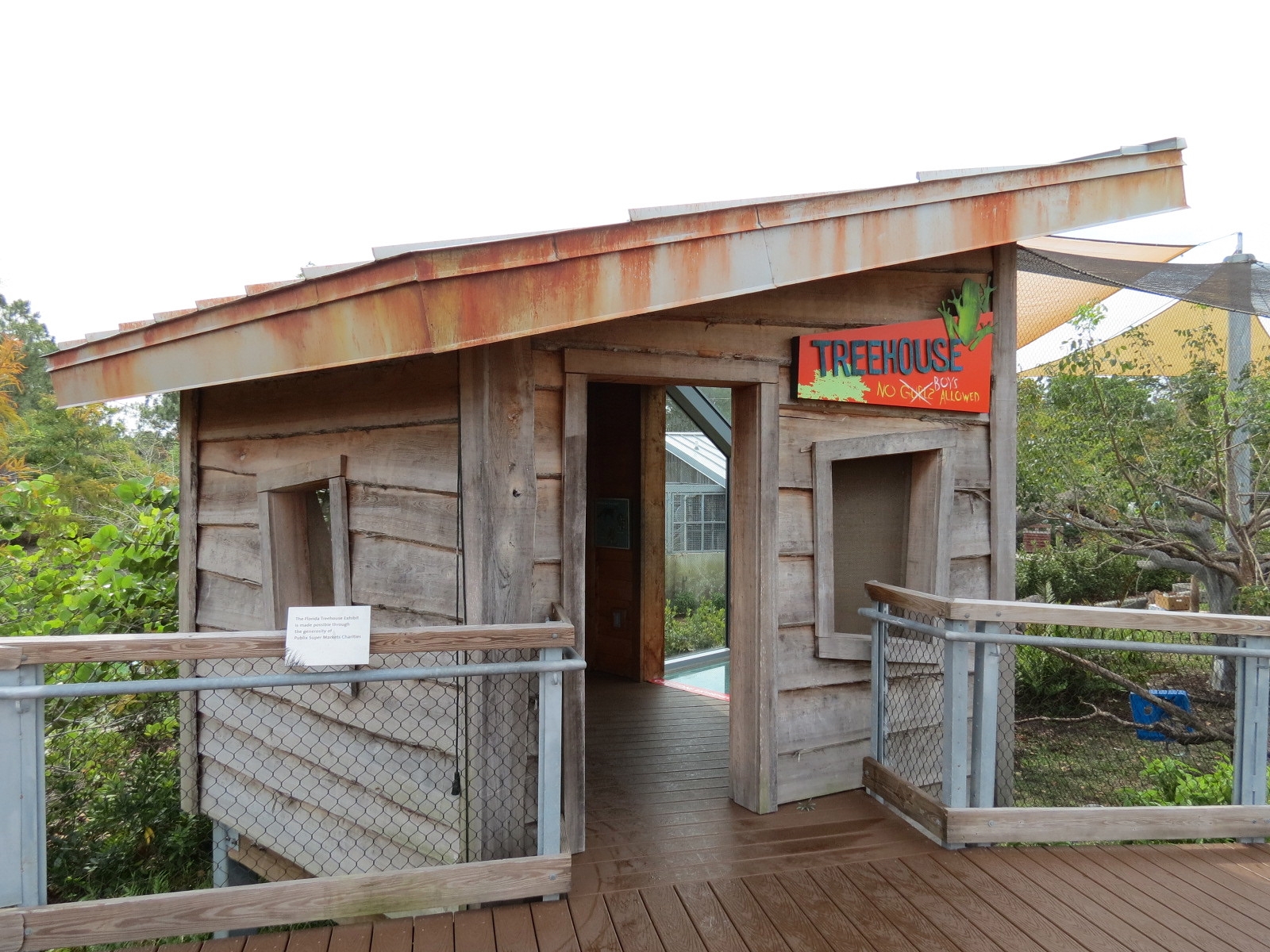 Florida: Mission Everglades - Bobcat OR Gray Fox OR Raccoon Rotational Exhibit 1 - Treehouse Visitor Viewing Shelter