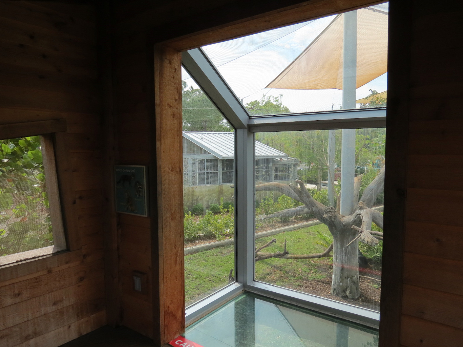 Florida: Mission Everglades - Bobcat OR Gray Fox OR Raccoon Rotational Exhibit 1 - Treehouse Visitor Viewing Shelter