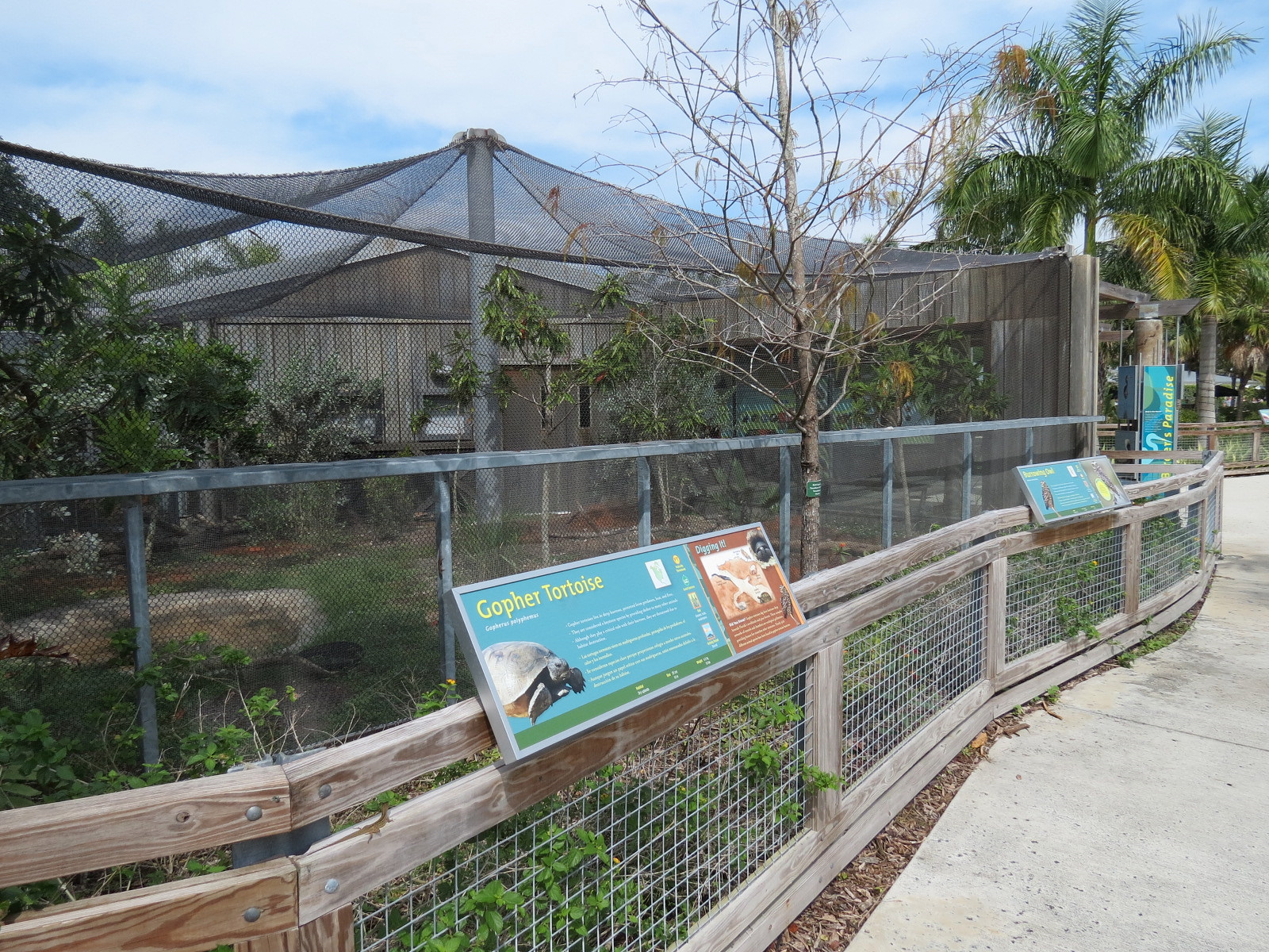 Florida: Mission Everglades - Burrowing Owl and Gopher Tortoise Exhibit