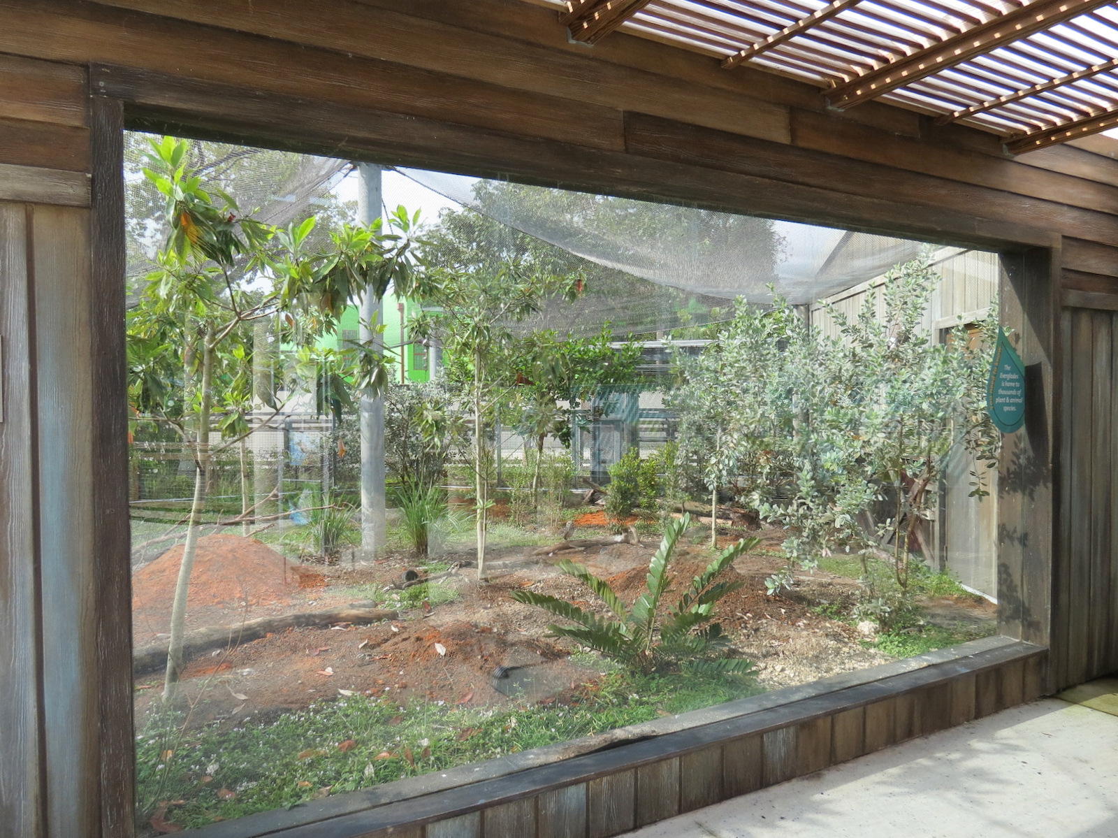 Florida: Mission Everglades - Burrowing Owl and Gopher Tortoise Exhibit