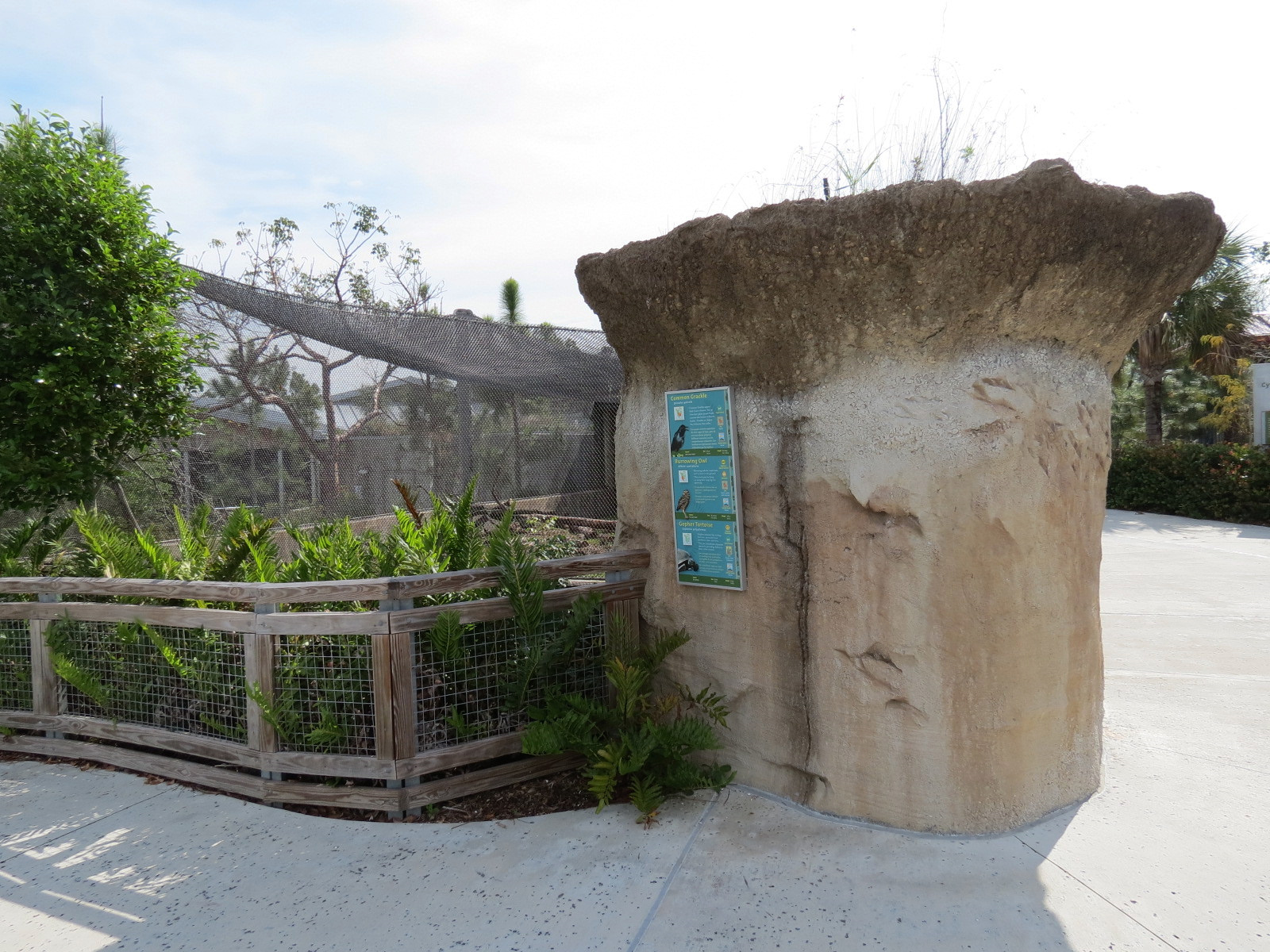 Florida: Mission Everglades - Burrowing Owl, Common Grackle, and Gopher Tortoise Exhibit