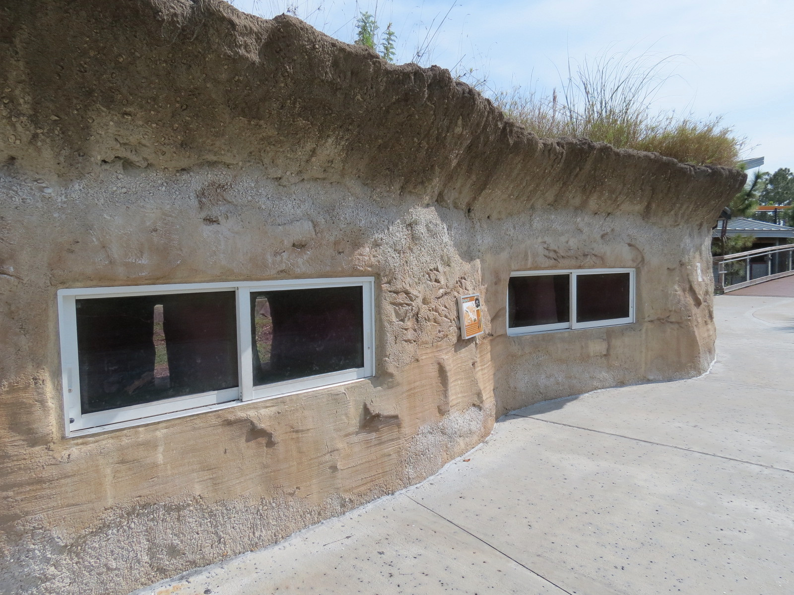 Florida: Mission Everglades - Burrowing Owl, Common Grackle, and Gopher Tortoise Exhibit