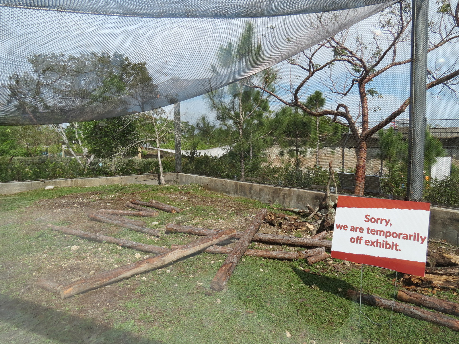Florida: Mission Everglades - Burrowing Owl, Common Grackle, and Gopher Tortoise Exhibit
