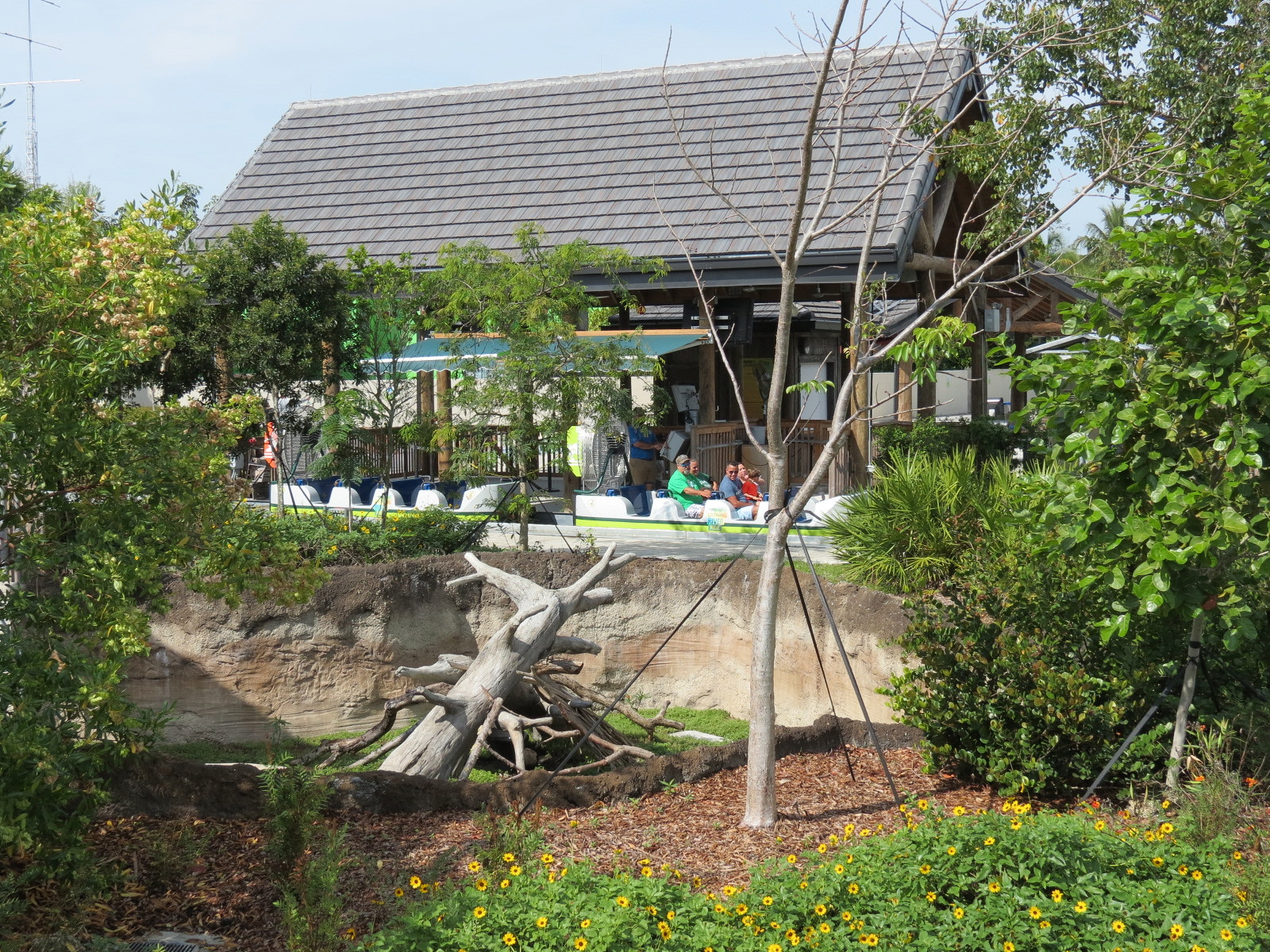 Florida: Mission Everglades - Crested Caracara Exhibit