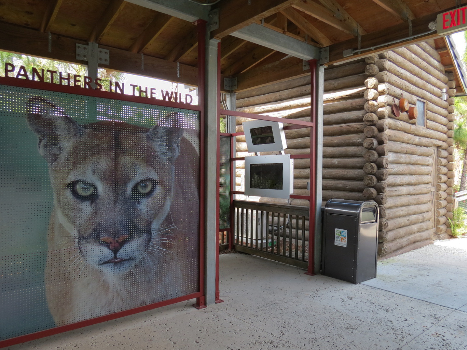 Florida: Mission Everglades - Florida Panther Displays
