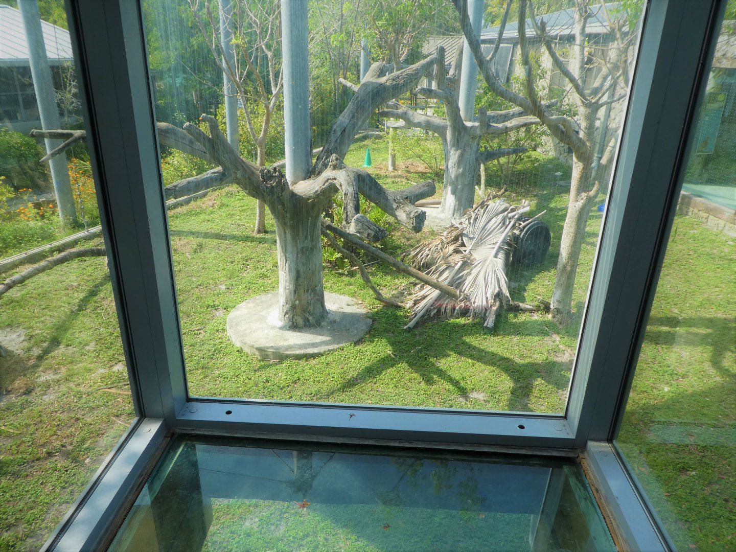 Florida: Mission Everglades - Hardwood Hammock - Treehouse Exhibit