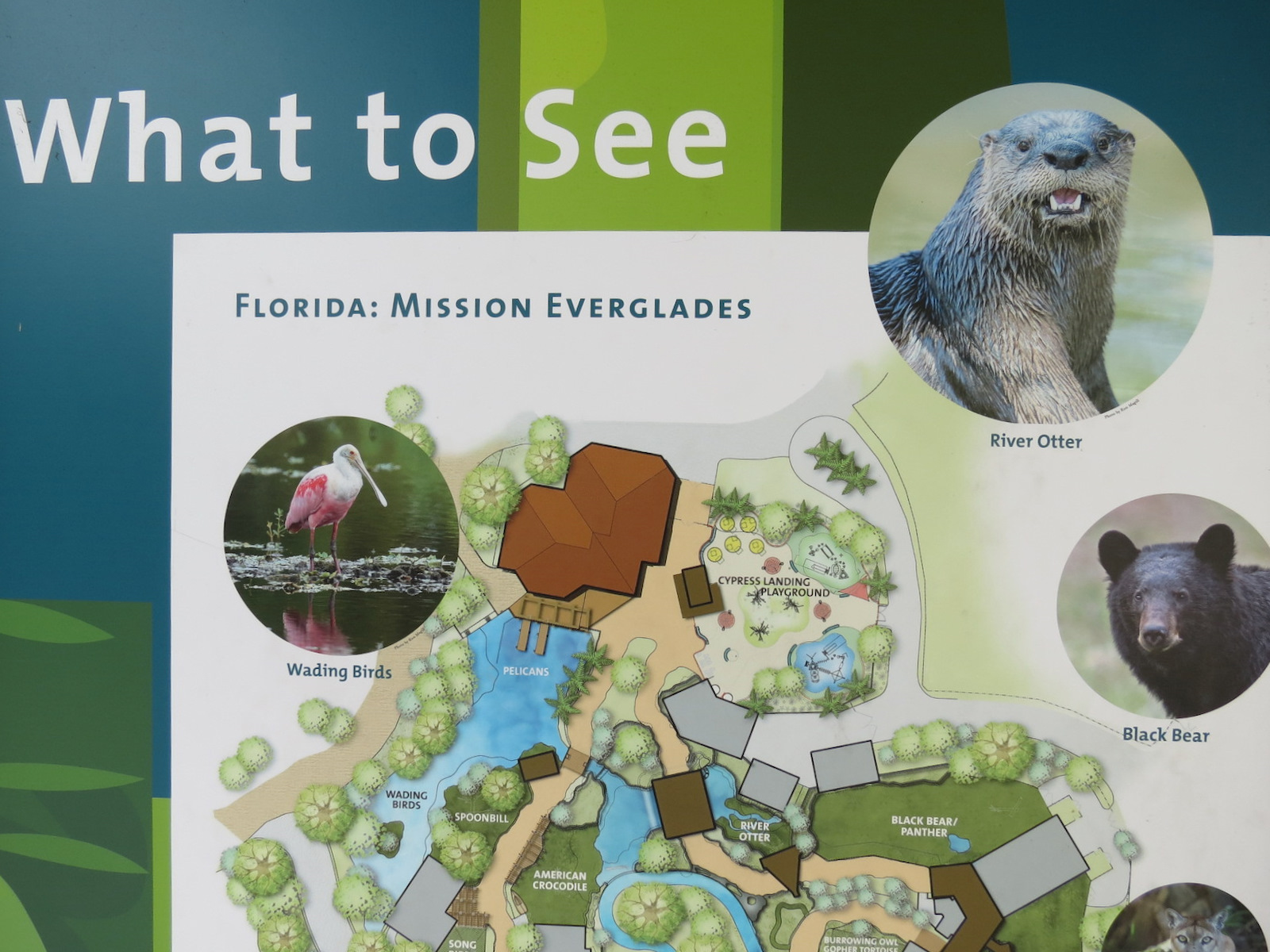 Florida: Mission Everglades - Map
