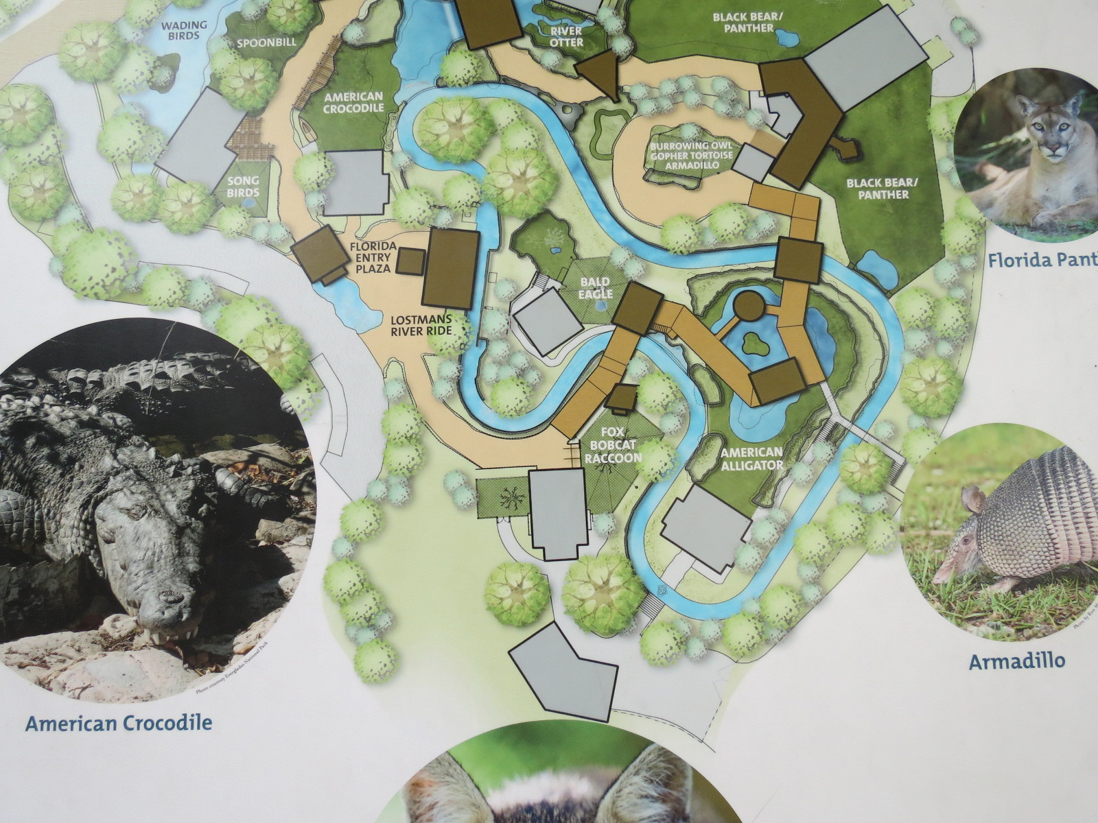 Florida: Mission Everglades - Map