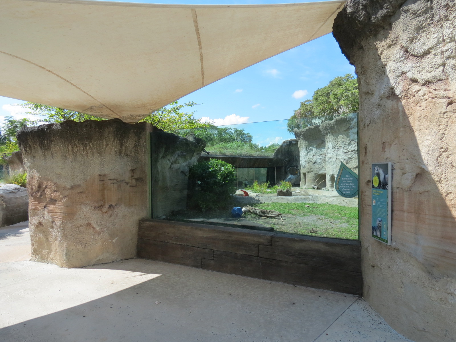 Florida: Mission Everglades - North American River Otter Exhibit