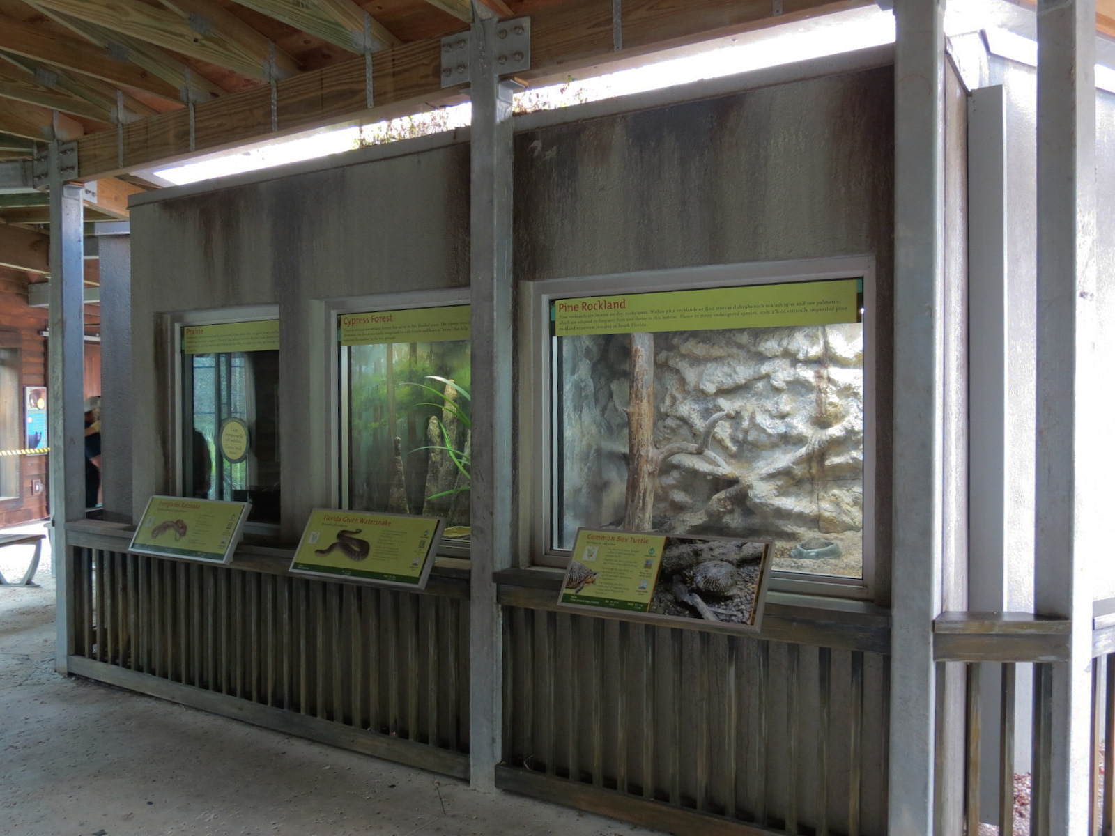 Florida: Mission Everglades - Reptile Exhibits