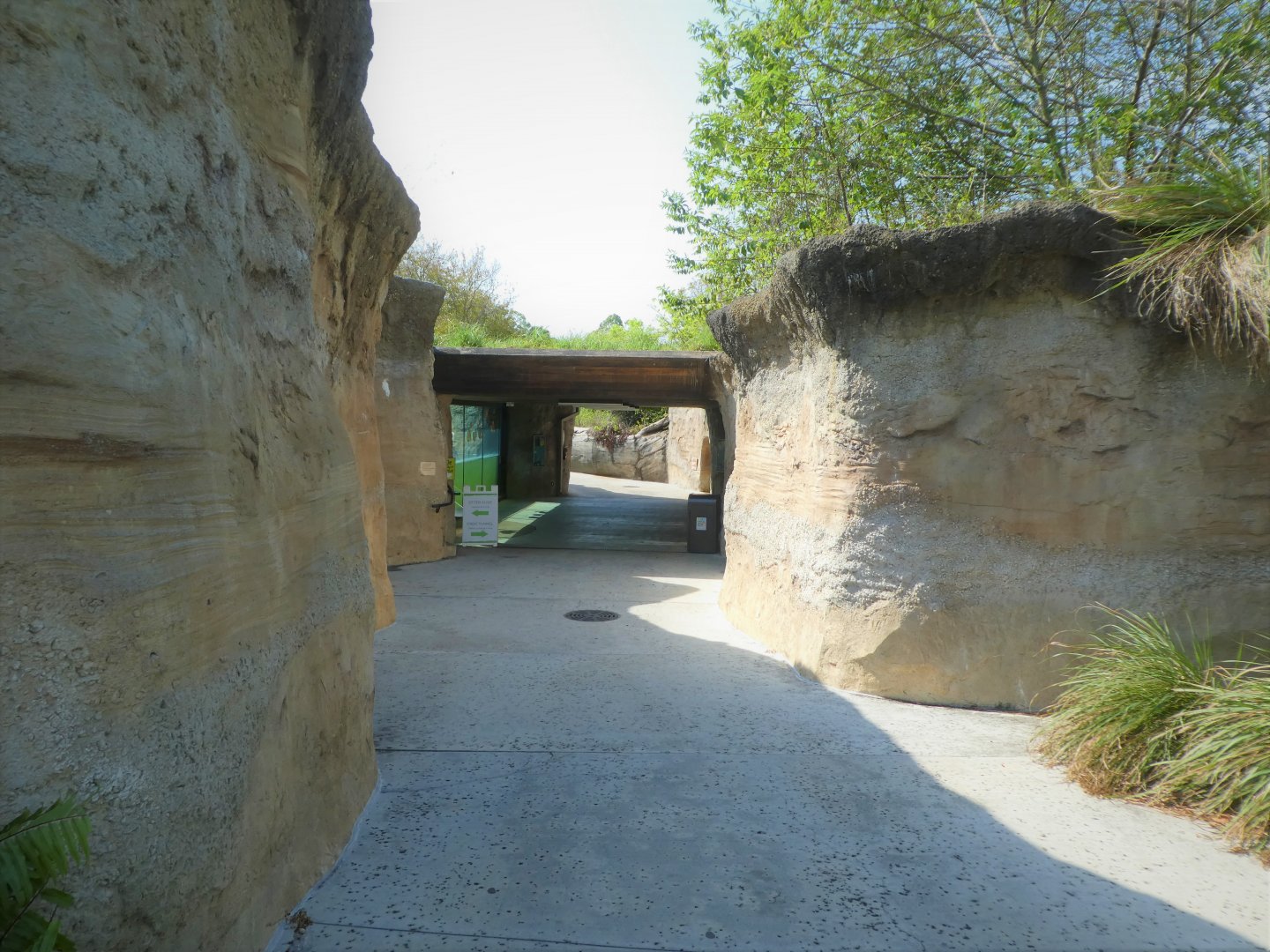 Florida: Mission Everglades - Sawgrass Marsh - Underwater Viewing for Otters and Crocodile