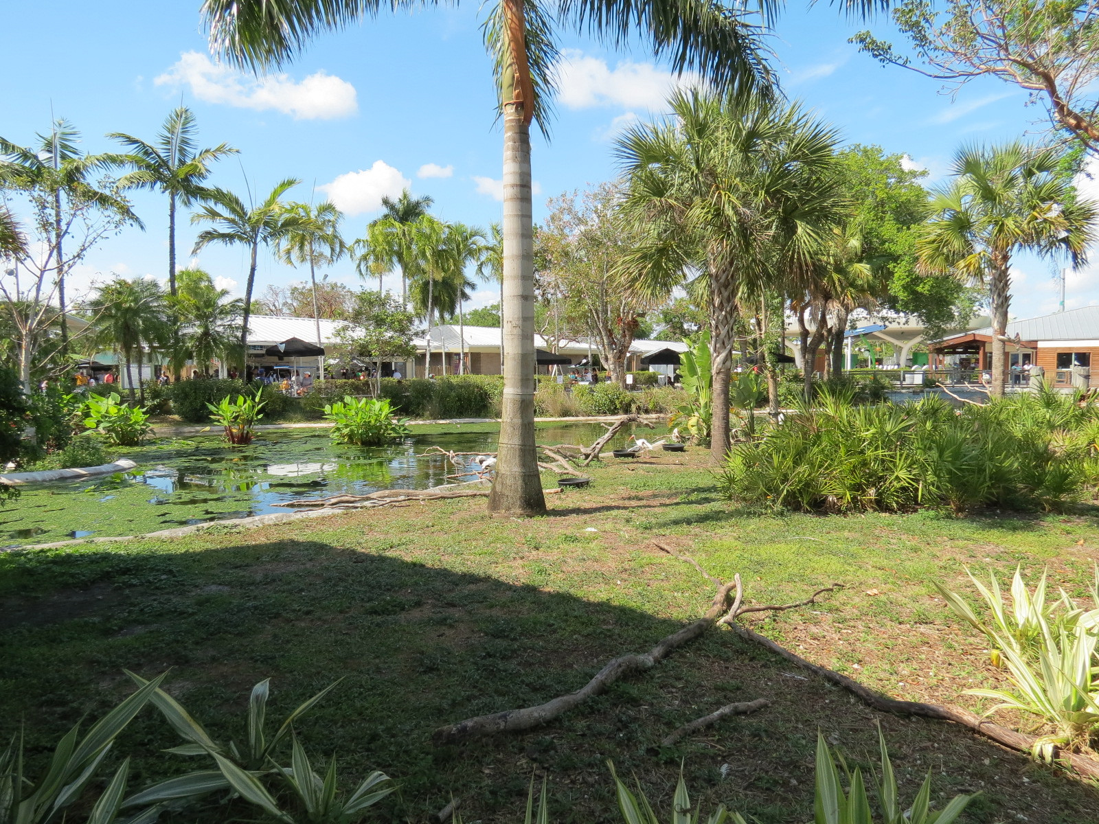 Florida: Mission Everglades - South Florida Wading Bird Exhibit