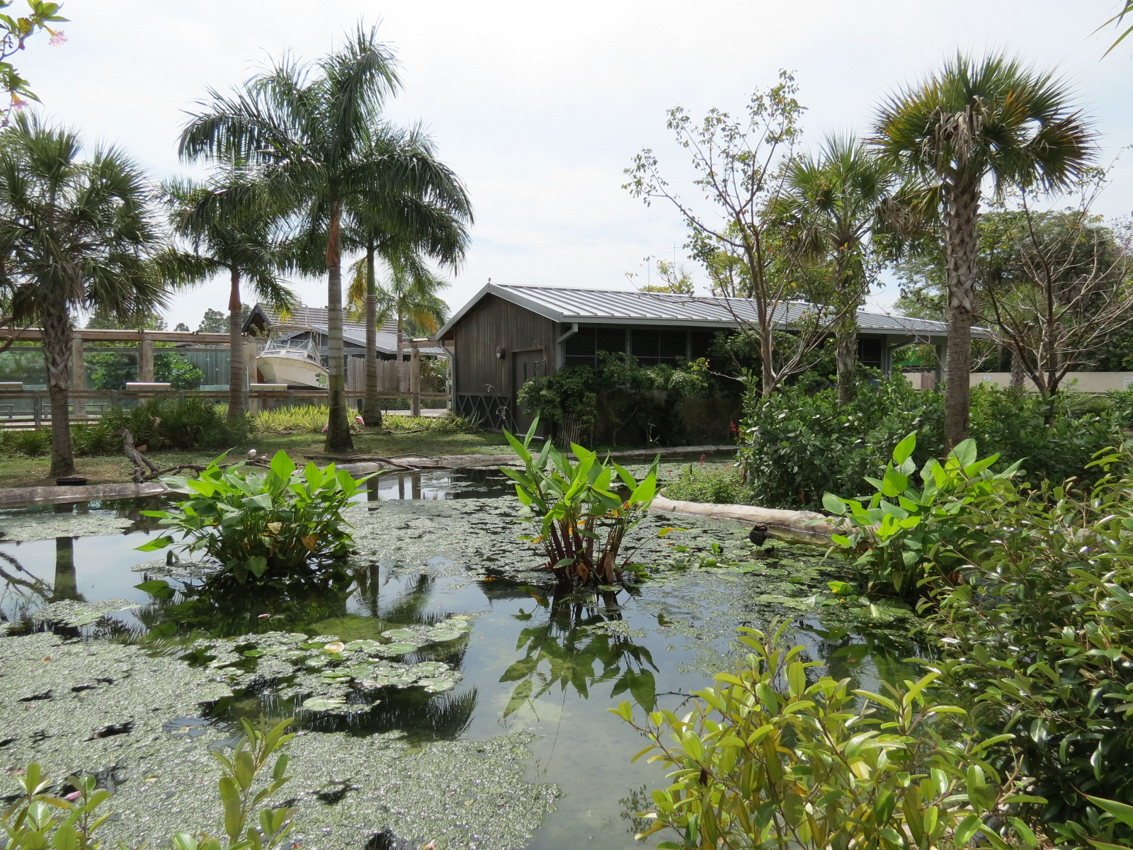 Florida: Mission Everglades - South Florida Wading Bird Exhibit
