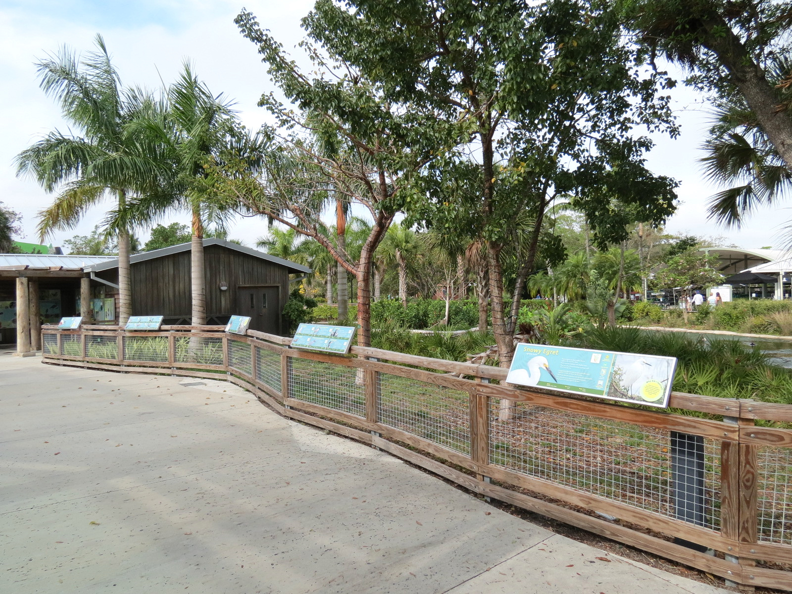 Florida: Mission Everglades - South Florida Wading Bird Exhibit