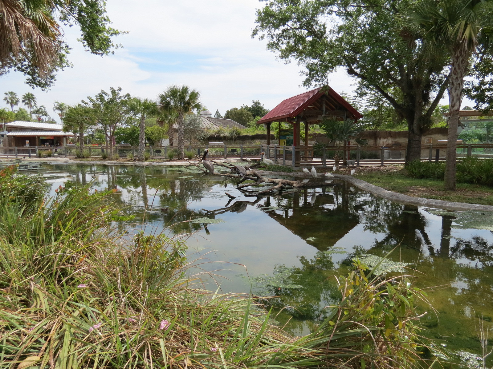 Florida: Mission Everglades - South Florida Wading Bird Exhibit