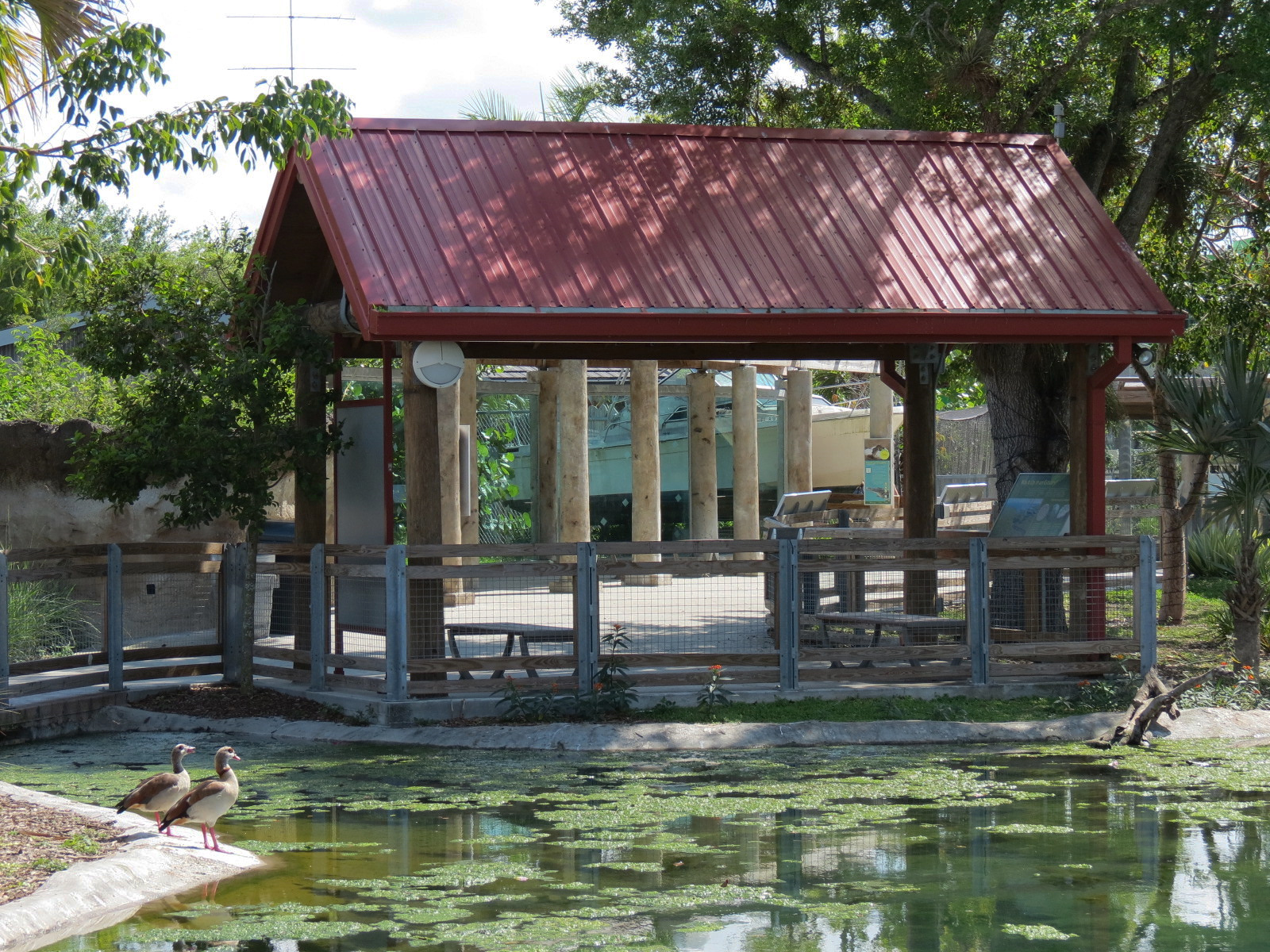 Florida: Mission Everglades - South Florida Wading Bird Exhibit